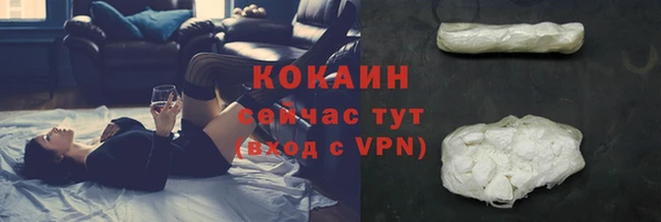 эйфоретик Горняк