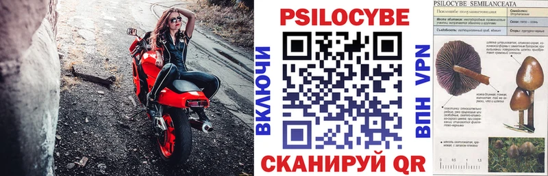 Купить закладки  Омутнинск  Псилоцибиновые грибы мухоморы 